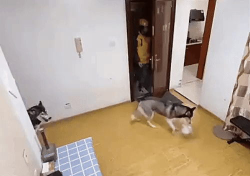 8e046-6624739e44d0d-cebfe19ee762d2b3ca219c0b6e28f96ed4f66521.gif