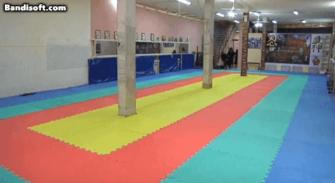 9596e-661f3bc74da12-16c7865d280259d5dd812ec9a57b8f0ff034e5fb.gif