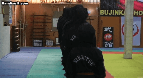 9596e-661f3be304979-d1e71d3c7ae981fcd72583b90d6eec55b7f39d11.gif