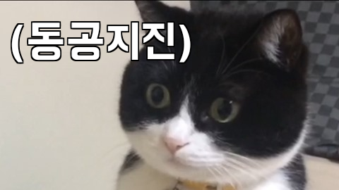 af2f6-661dceaf0acb7-a303cb2eee82fb4df42d7bb0c32ee864553de6d3.png