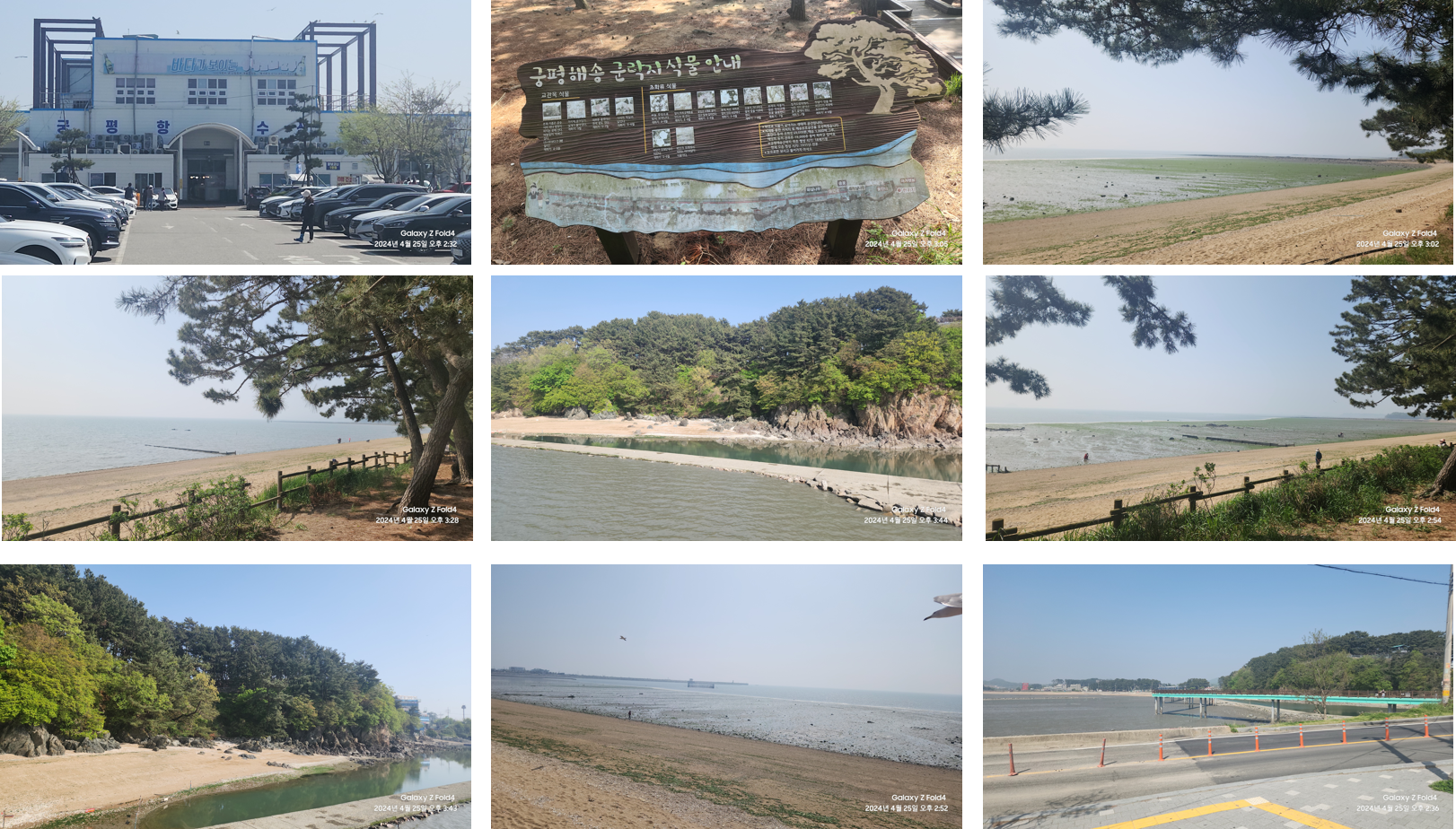 bc1ef-662a50545ab09-77563119cbeae3a159d82b16011e395f0438b418.png