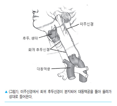 bd208-6620b4c09fda3-bb32fc7766c90a7d3be33488bc5604d115ec8f04.jpg