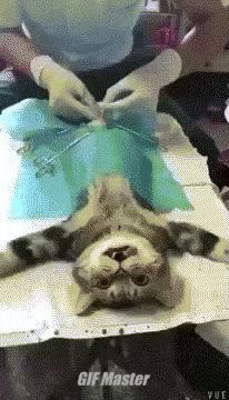 fe7f5-66299628ee25e-0026dc3b9fae18daaeae98bff6204f482f46d577.gif
