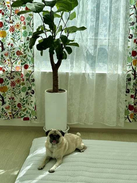 게시글 이미지