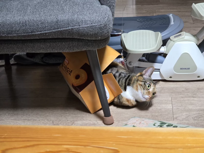 게시글 이미지