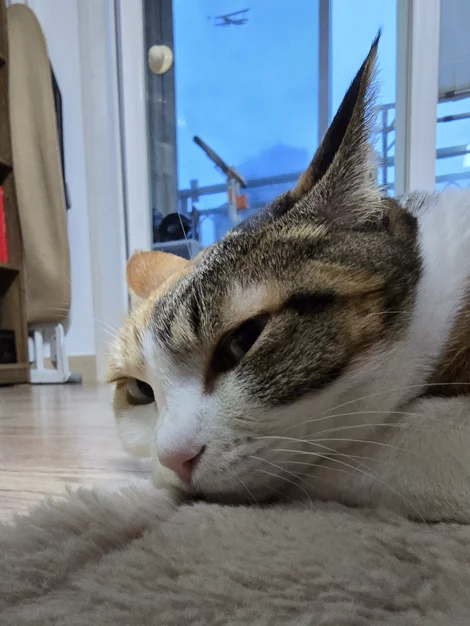 게시글 이미지