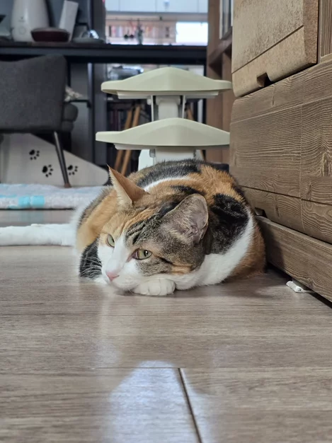 게시글 이미지