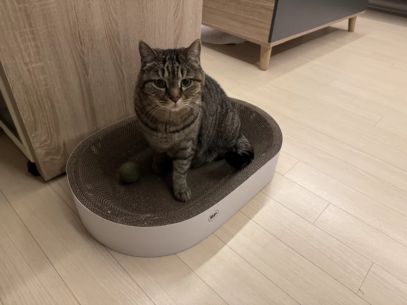 게시글 이미지
