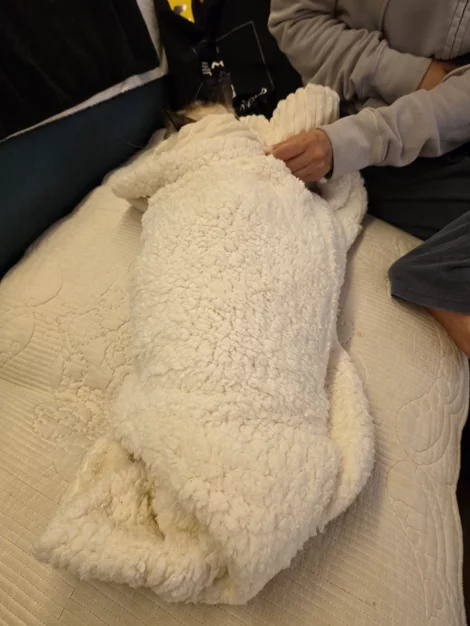 게시글 이미지