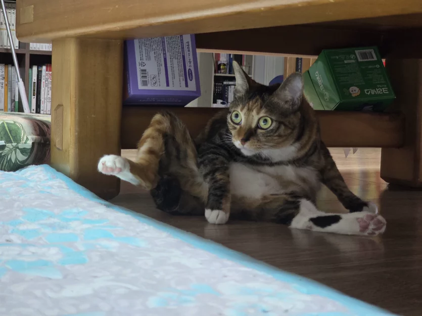 게시글 이미지