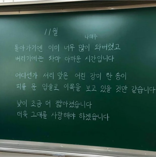 게시글 이미지
