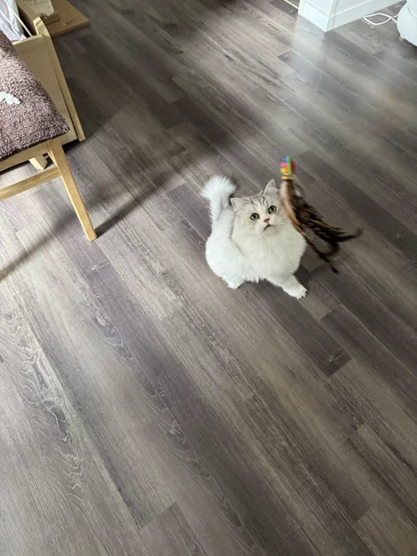 게시글 이미지