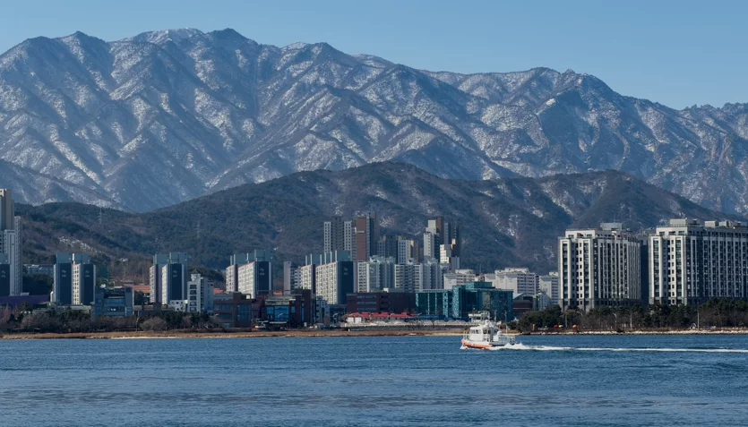 게시글 이미지