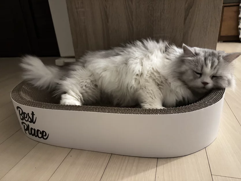 게시글 이미지