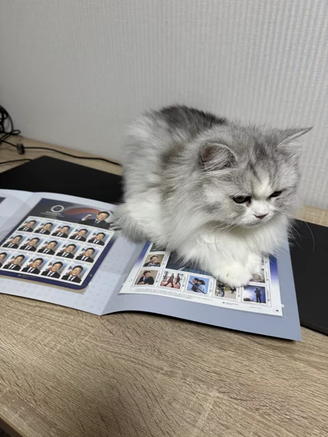 게시글 이미지