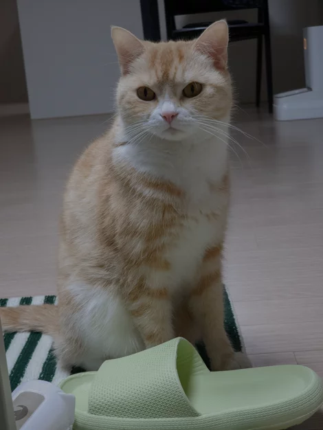 게시글 이미지