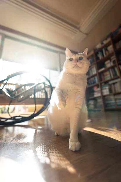 게시글 이미지