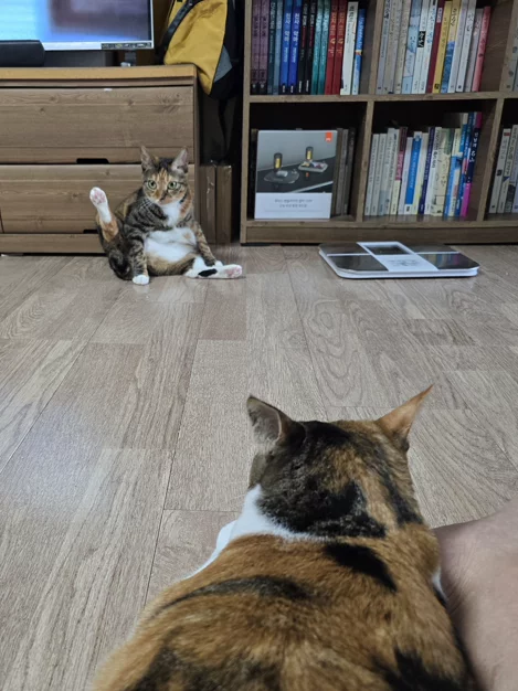 게시글 이미지