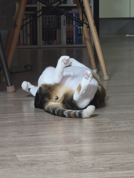 게시글 이미지