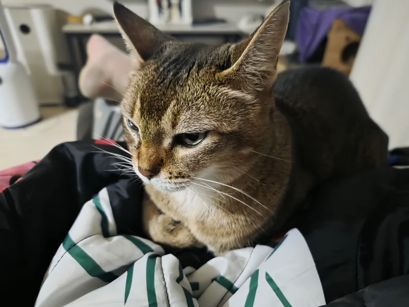 게시글 이미지