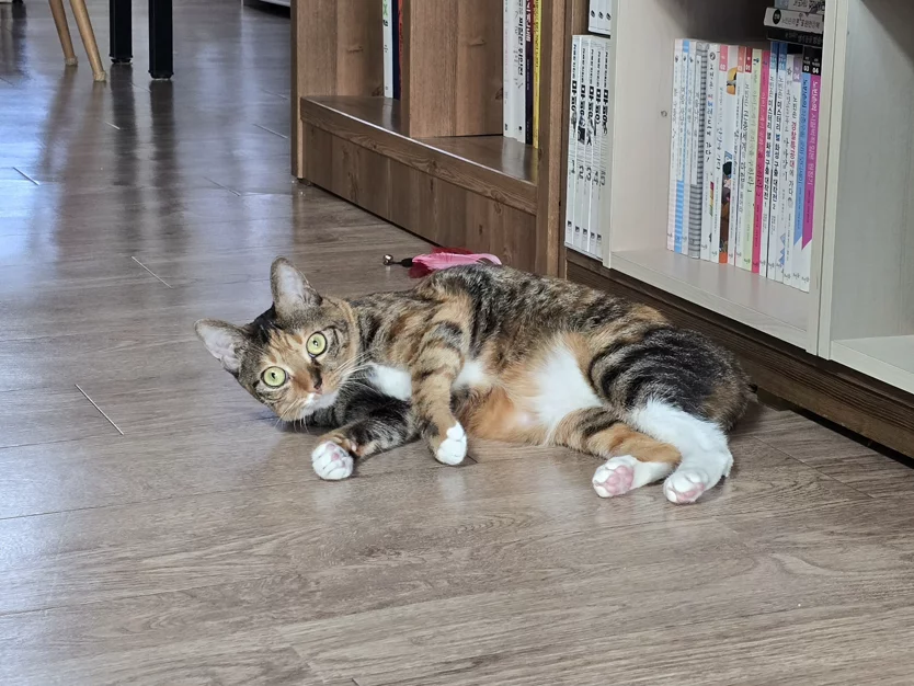 게시글 이미지