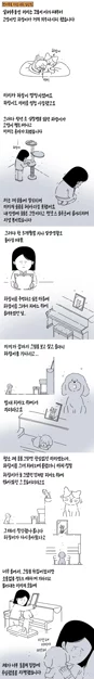 게시글 이미지