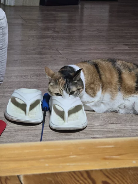 게시글 이미지