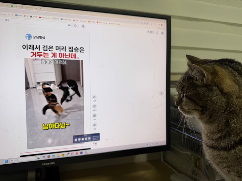 게시글 이미지
