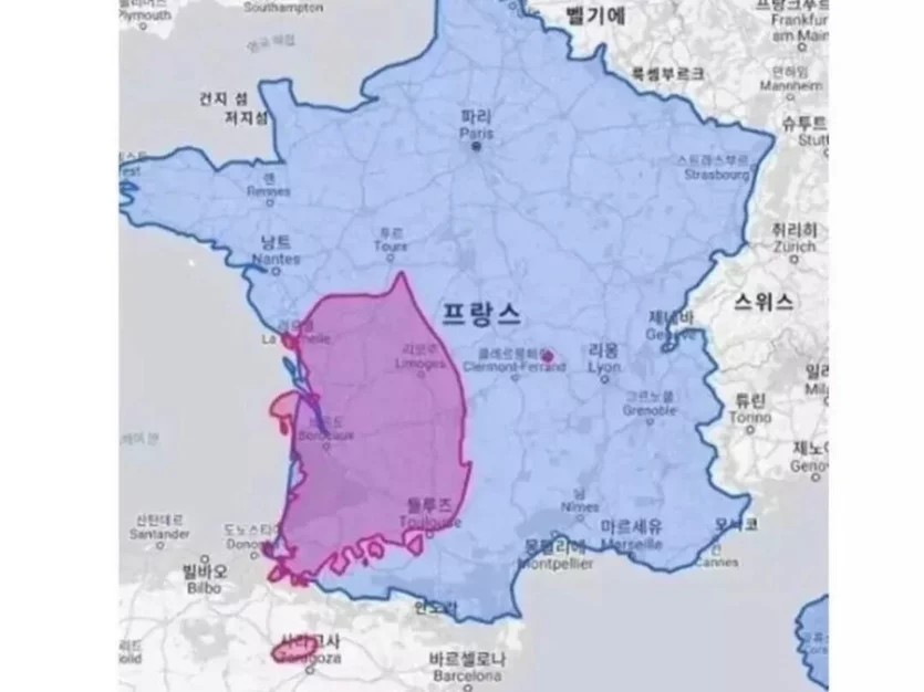 게시글 이미지