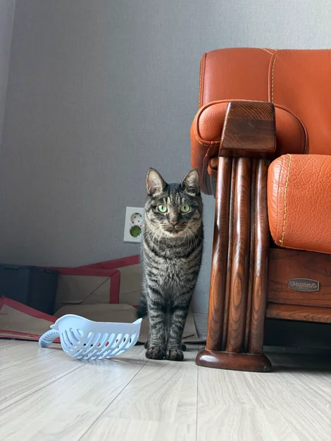 게시글 이미지