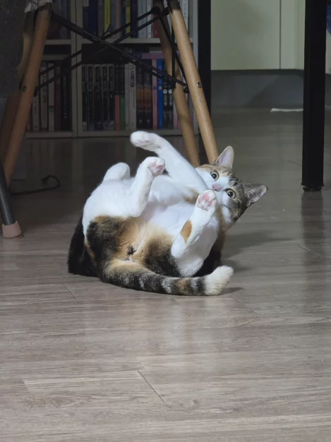 게시글 이미지