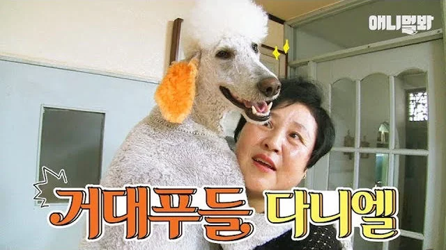 게시글 이미지