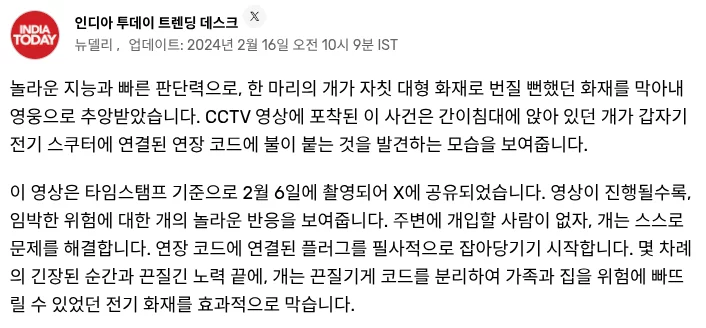 게시글 이미지