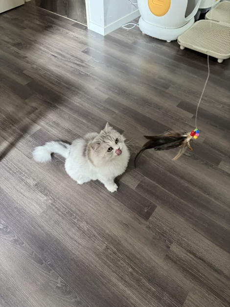 게시글 이미지