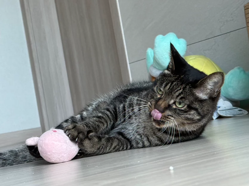 게시글 이미지