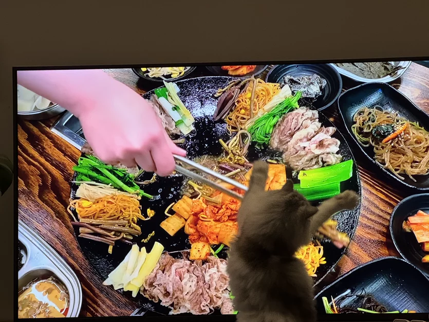 게시글 이미지