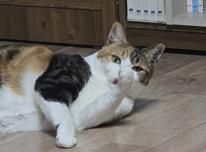 게시글 이미지