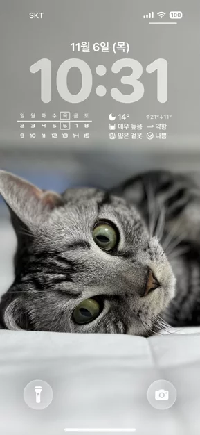 게시글 이미지