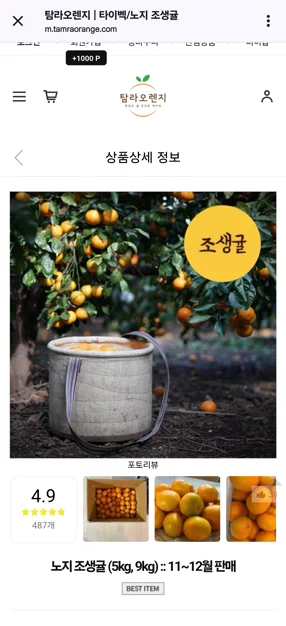 게시글 이미지