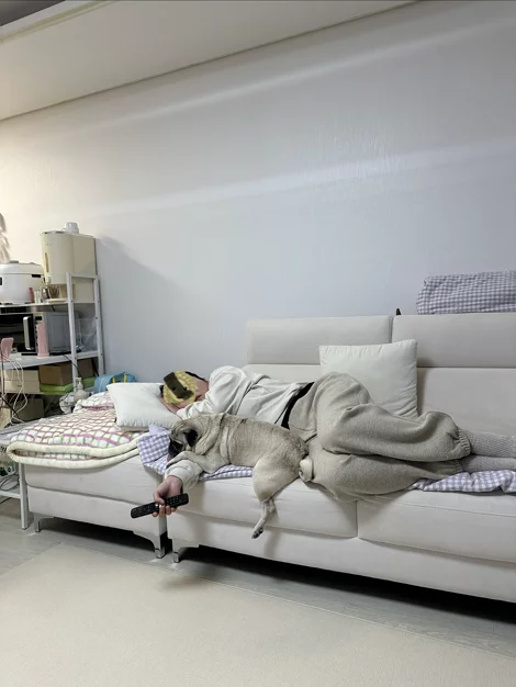게시글 이미지