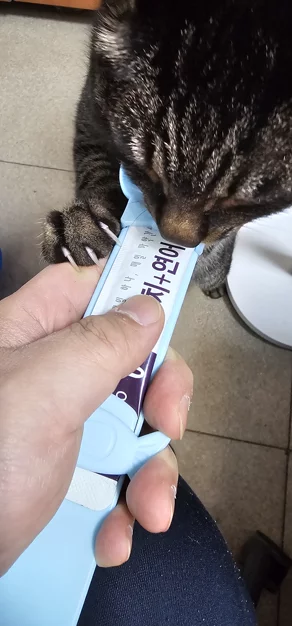 게시글 이미지