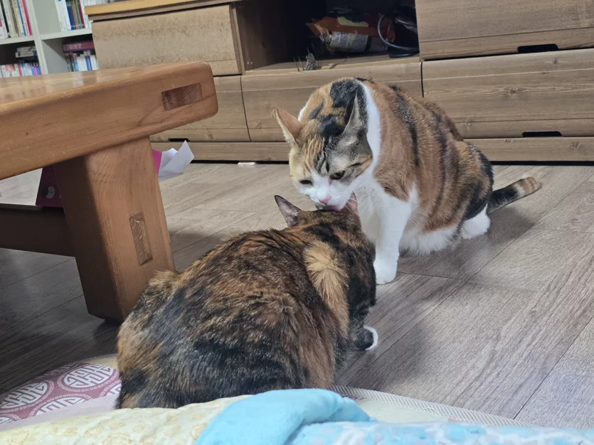게시글 이미지