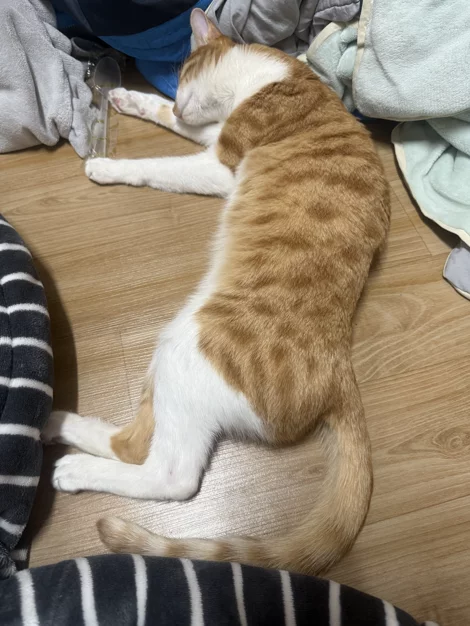 게시글 이미지