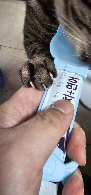 게시글 이미지