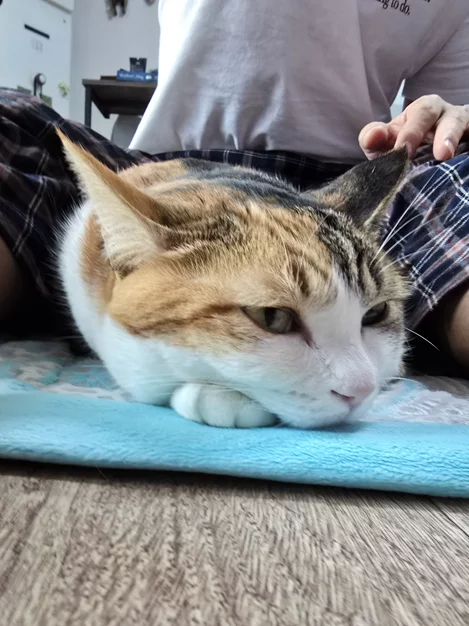 게시글 이미지
