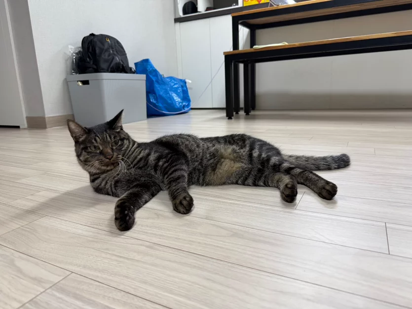 게시글 이미지