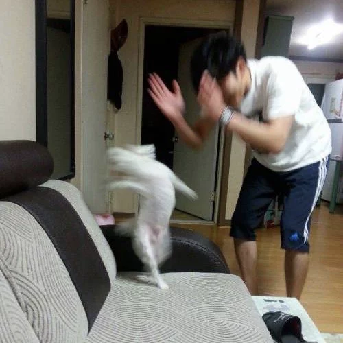 게시글 이미지