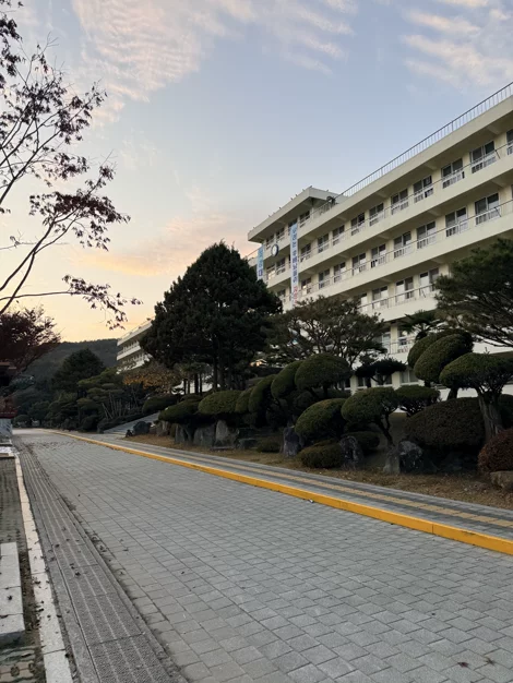 게시글 이미지