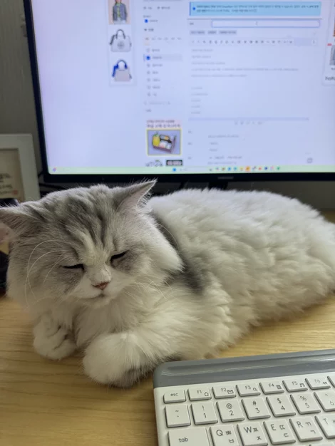 게시글 이미지