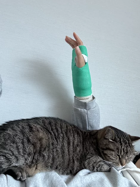 게시글 이미지
